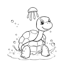Turtle taking a shower
