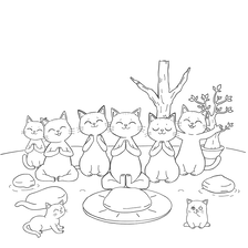 Yoga cats